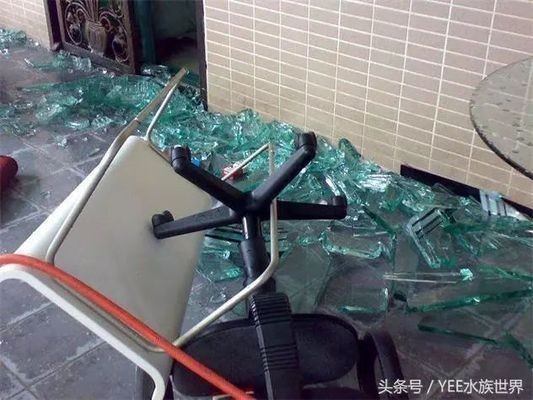 什么樣的魚缸容易爆缸：容易爆缸的魚缸類型和預防措施，魚缸安全加固方法有哪些