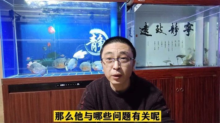 什么樣的魚缸容易爆缸：容易爆缸的魚缸類型和預防措施，魚缸安全加固方法有哪些