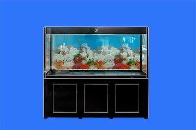 魚缸品牌大全一覽表:市面上最受歡迎的幾個魚缸品牌 魚缸百科 第1張 魚缸品牌大全一覽表:市面上最受歡迎的幾個魚缸品牌 魚缸品牌大全一覽表:市面上最受歡迎的幾個魚缸品牌 魚缸百科 第1張
