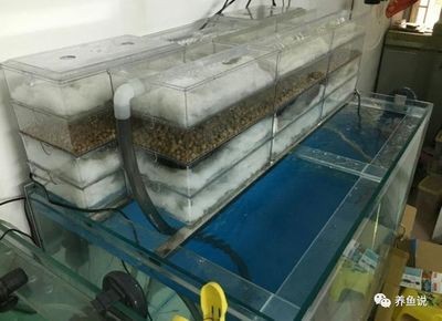 魚缸過濾哪種好：魚池過濾器十大品牌 魚缸過濾哪種好：魚池過濾器十大品牌 魚缸百科 第3張