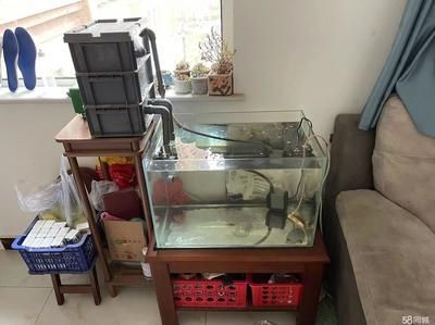 魚缸過濾哪種好：魚池過濾器十大品牌 魚缸過濾哪種好：魚池過濾器十大品牌 魚缸百科 第2張