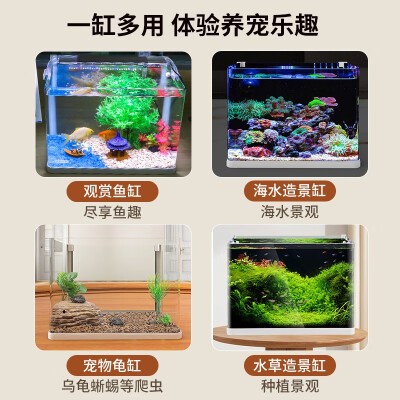 魚缸的水怎么變渾濁了（魚缸水草養護技巧有哪些？）