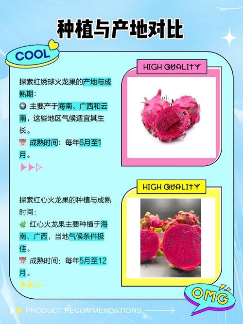 如何挑選新鮮的紅心火龍果？