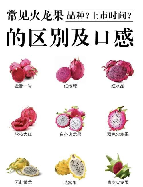 如何挑選新鮮的紅心火龍果？