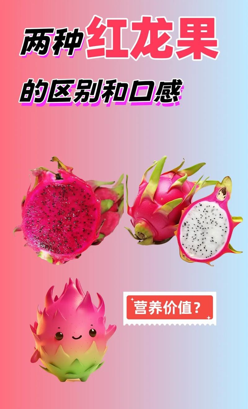 如何挑選新鮮的紅心火龍果？