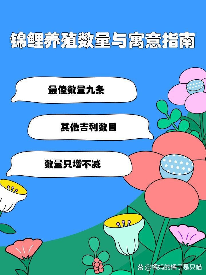 紅鯉魚養幾條最吉利
