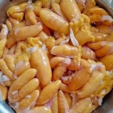 廣州哪里有魚雜批發(fā)? 2025長城杯龍魚大賽 第8張 廣州哪里有魚雜批發(fā)? 廣州哪里有魚雜批發(fā)? 2025長城杯龍魚大賽 第8張
