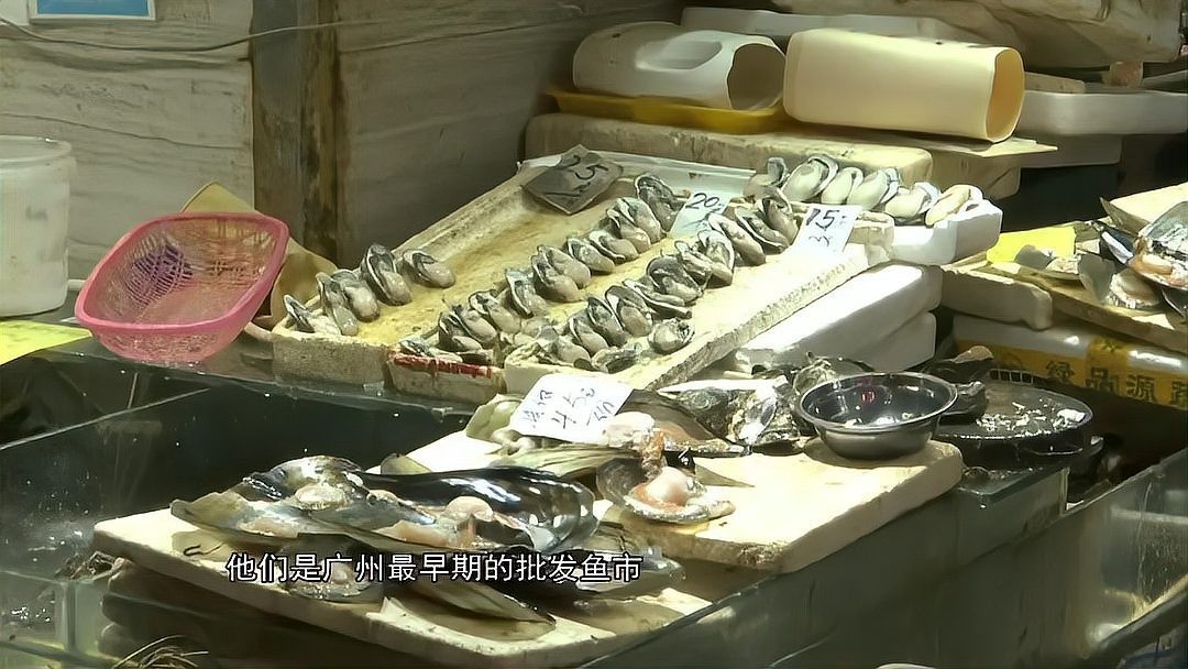 廣州哪里有魚雜批發(fā)? 2025長城杯龍魚大賽 第7張 廣州哪里有魚雜批發(fā)? 廣州哪里有魚雜批發(fā)? 2025長城杯龍魚大賽 第7張