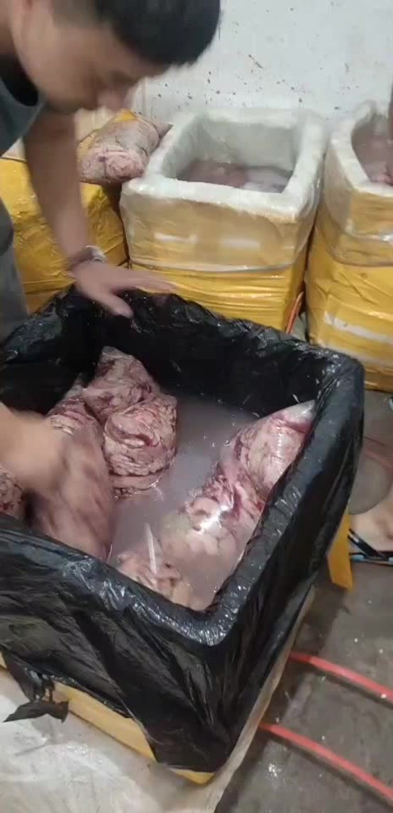 廣州哪里有魚雜批發(fā)? 2025長城杯龍魚大賽 第14張 廣州哪里有魚雜批發(fā)? 廣州哪里有魚雜批發(fā)? 2025長城杯龍魚大賽 第14張