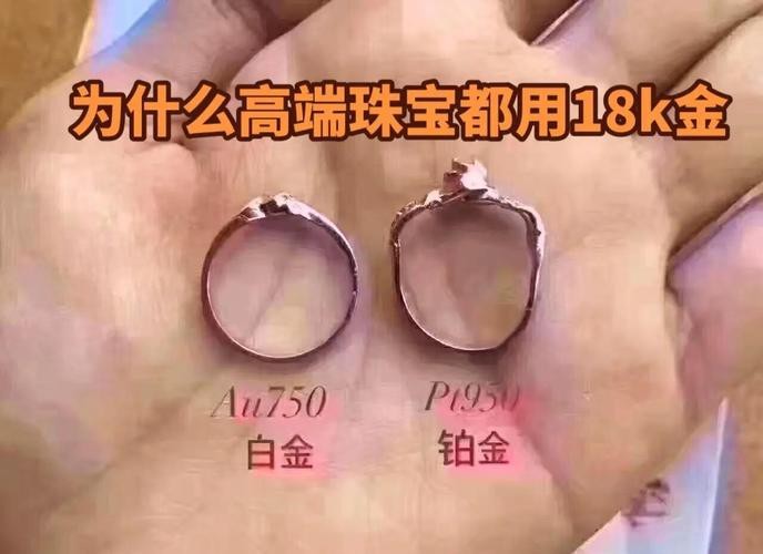 如何區分普通品相和高端稀有品相？ 如何區分普通品相和高端稀有品相？ 龍魚百科 第3張