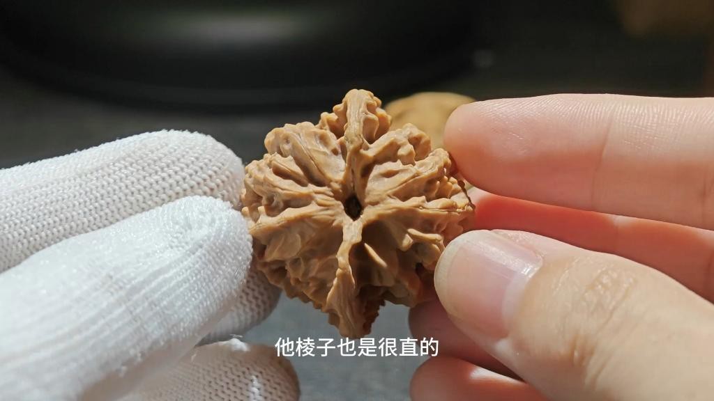 如何區分普通品相和高端稀有品相？ 如何區分普通品相和高端稀有品相？ 龍魚百科 第9張