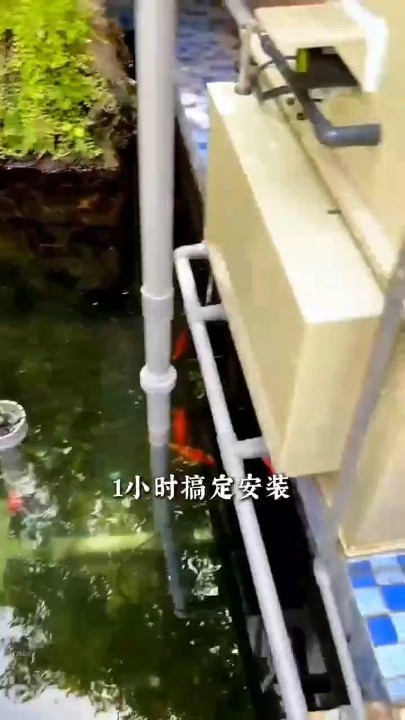 魚池過濾更換的快捷方式您掌握了么