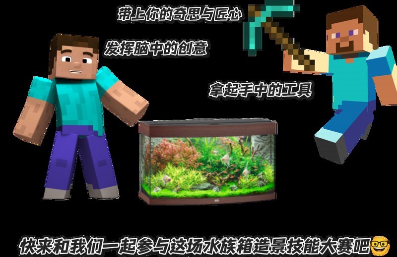 水草造景大賽