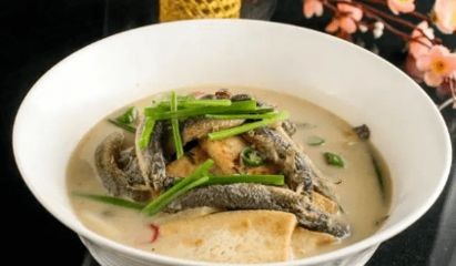 銀龍魚苗抗病毒藥物選擇標準：銀龍魚苗的抗病毒藥物如何選擇