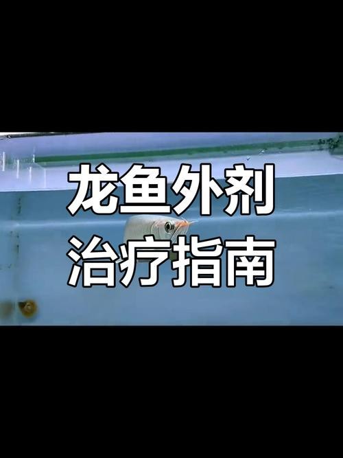 有哪些品牌龍魚治療藥推薦？