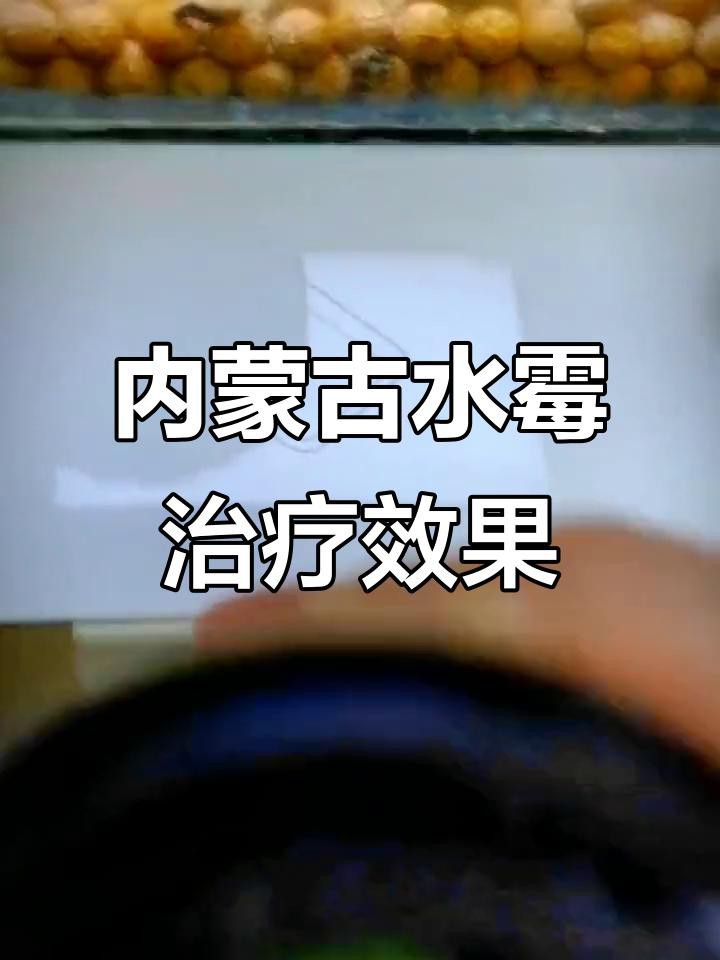 有哪些品牌龍魚治療藥推薦？