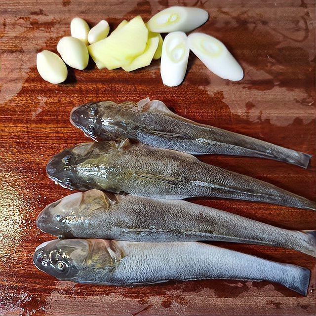 燉海鯰魚的家常做法