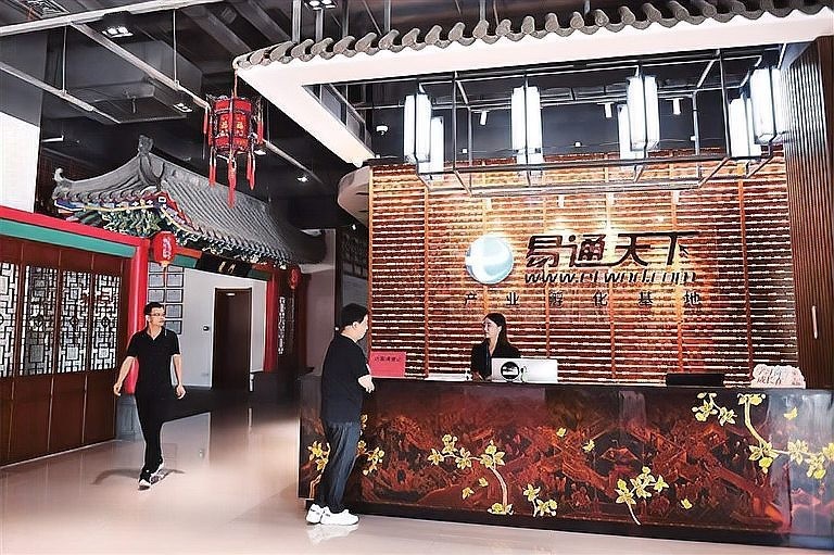 龍魚之巔網(wǎng)站有哪些直播回放？ 龍魚之巔網(wǎng)站有哪些直播回放？ 2025長城杯龍魚大賽 第5張