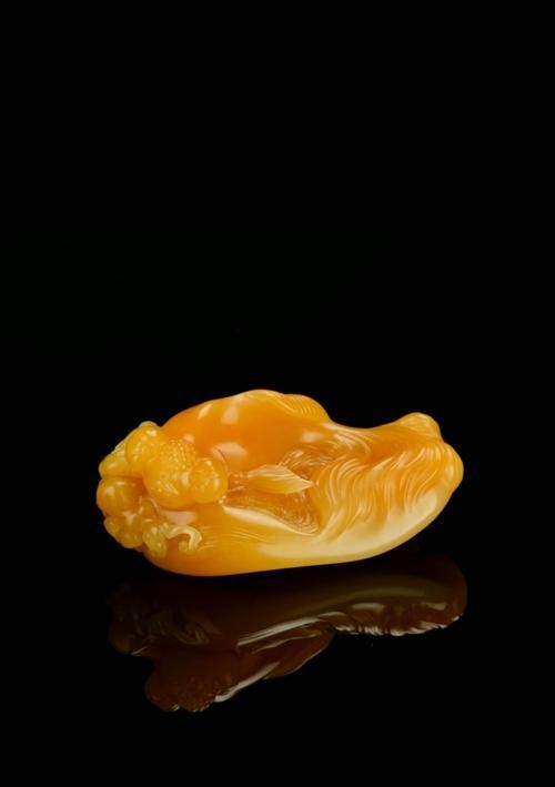 如何獲取2025金魚(yú)比賽獲獎(jiǎng)魚(yú)圖片？