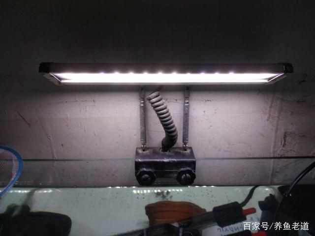 德根寶魚缸燈的安裝步驟：魚缸燈的安裝步驟和步驟：德根寶品牌魚缸燈的安裝步驟
