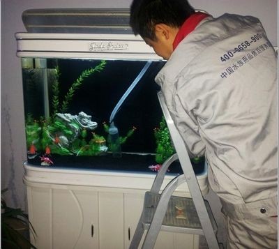 海之彩魚缸的養護秘籍擁有一款令人愉悅的魚缸設計：海之彩魚缸的養護秘籍