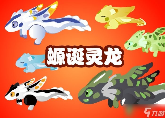 13號龍魚現在的主人是誰？