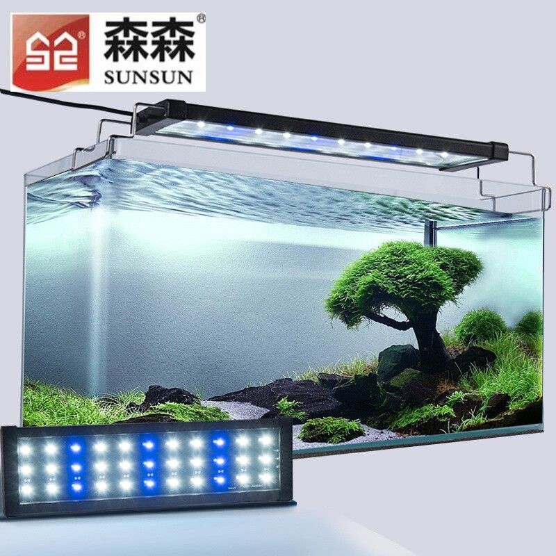 選擇海水純魚缸的燈具時(shí)需要考慮到以下幾個(gè)關(guān)鍵因素：海水純魚缸如何選擇燈具