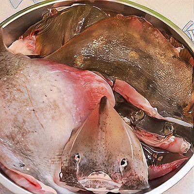 魟魚配魚最簡單三種做法