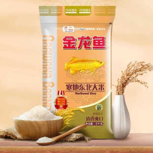 順德區大良泳濤水族店