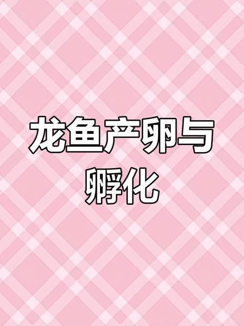 下龍魚的圖片欣賞大全 龍魚百科 第13張 下龍魚的圖片欣賞大全 下龍魚的圖片欣賞大全 龍魚百科 第13張