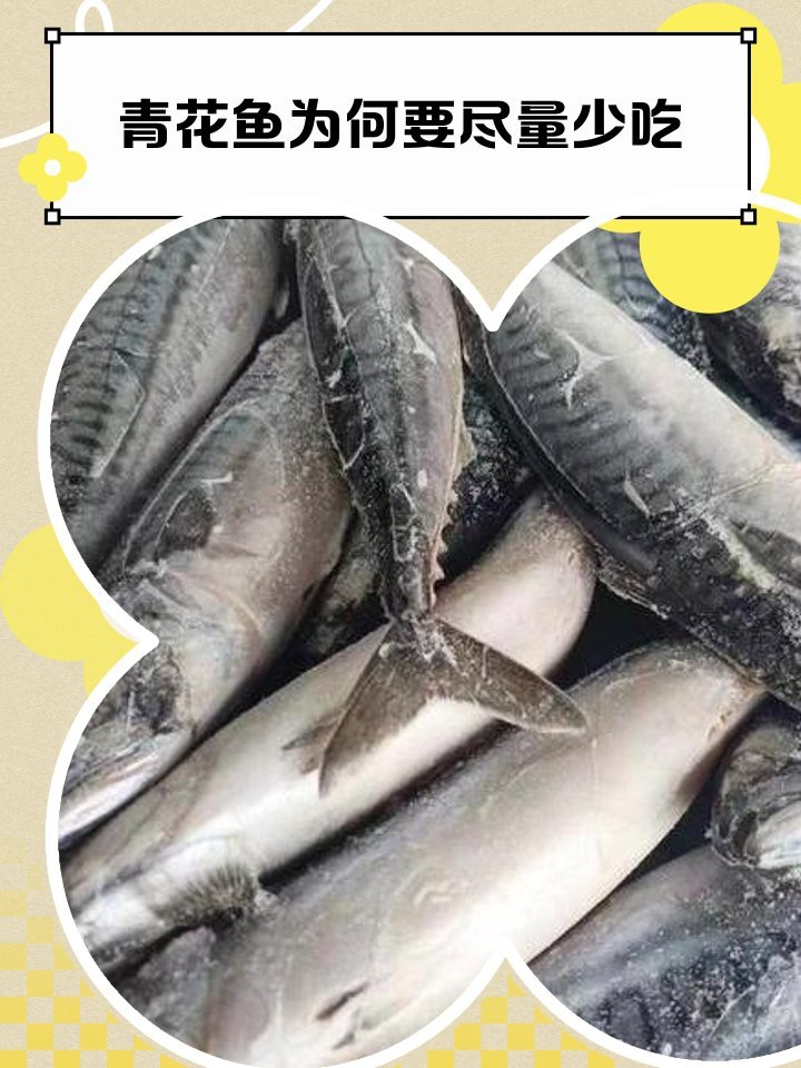 青花魚為何要盡量少吃 青花魚為何要盡量少吃 龍魚論壇 第1張