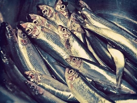 六角恐龍魚魚缸里可以放石頭嗎視頻大全：六角恐龍魚缸石頭擺放圖解六角恐龍魚魚缸石頭擺放圖解 六角恐龍魚魚缸里可以放石頭嗎視頻大全：六角恐龍魚缸石頭擺放圖解六角恐龍魚魚缸石頭擺放圖解 魚缸百科 第2張
