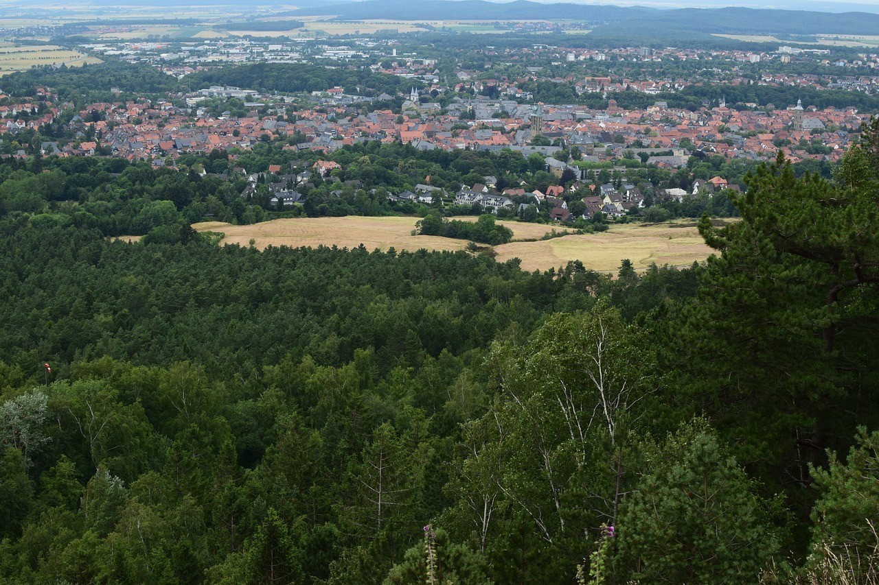 廣州市白云區(qū)永平小鹿森林花店