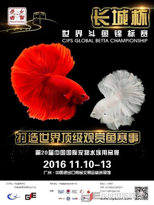 長城杯中國斗魚比賽的歷史戰(zhàn)績 長城杯中國斗魚比賽的歷史戰(zhàn)績 2025長城杯龍魚大賽 第1張