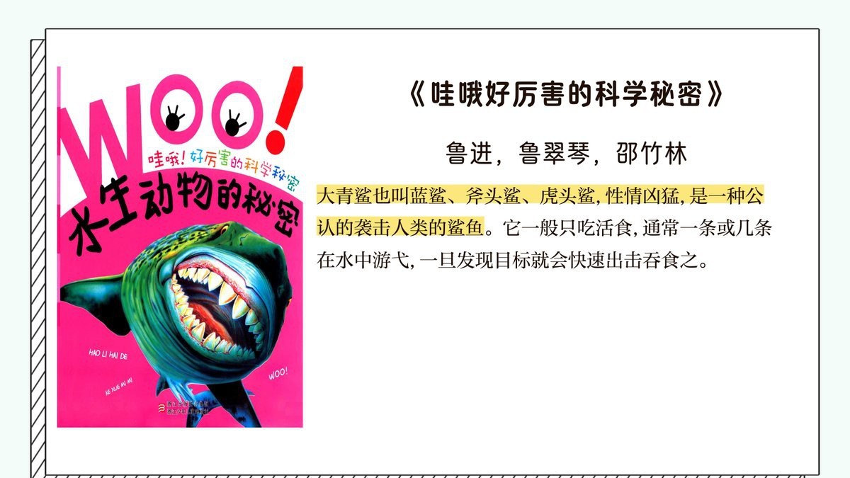 球鯊屬于什么檔次 球鯊屬于什么檔次 龍魚論壇 第1張