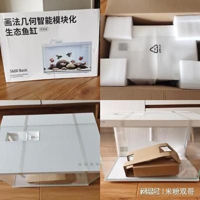 魚缸自動喂食器的選擇：如何選擇自動喂食器