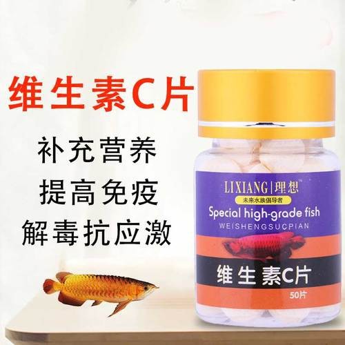 有哪些龍魚專用維生素推薦？