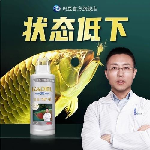 有哪些龍魚專用維生素推薦？