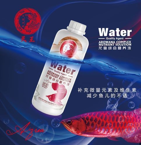 有哪些龍魚專用維生素推薦？