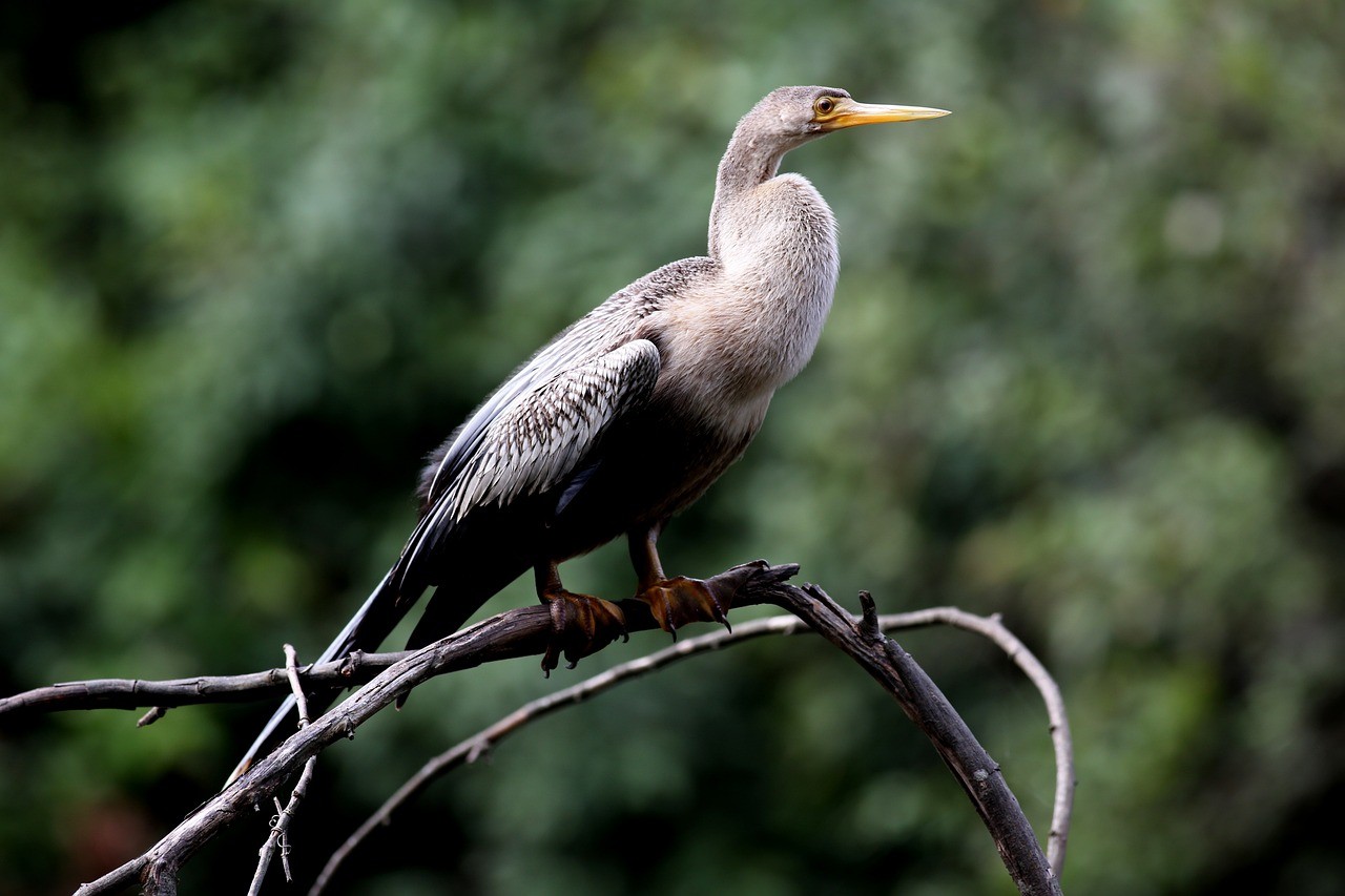 撫寧區(qū)留守營(yíng)鎮(zhèn)滿秦魚(yú)鳥(niǎo)花卉商店（撫寧區(qū)留守營(yíng)鎮(zhèn)滿秦魚(yú)鳥(niǎo)花卉商店電話） 撫寧區(qū)留守營(yíng)鎮(zhèn)滿秦魚(yú)鳥(niǎo)花卉商店（撫寧區(qū)留守營(yíng)鎮(zhèn)滿秦魚(yú)鳥(niǎo)花卉商店電話） 全國(guó)水族館企業(yè)名錄