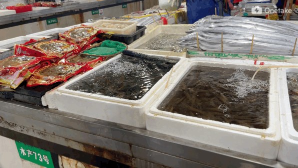 水龍魚學(xué)名：關(guān)于水龍魚的學(xué)名 水龍魚學(xué)名：關(guān)于水龍魚的學(xué)名 龍魚百科 第3張