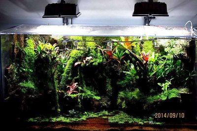 魚缸定制多少錢一個（定制大型魚缸價格因材質、尺寸、形狀以及配件的品質和規格而異）