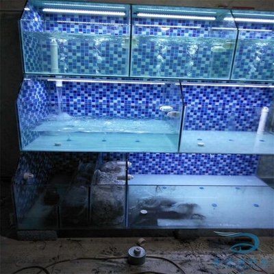 魚缸定制多少錢一個（定制大型魚缸價格因材質、尺寸、形狀以及配件的品質和規格而異）