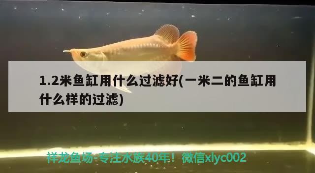 鐵嶺市銀州區(qū)海之境觀賞魚具專營店（鐵嶺市銀州區(qū)海之境觀賞魚具專營店電話）