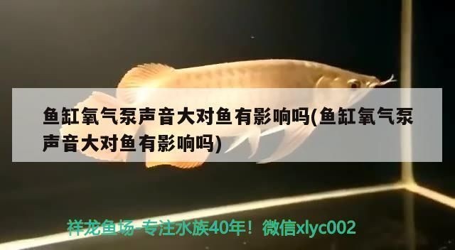 森森魚缸加熱棒在哪：森森魚缸加熱棒價(jià)格對(duì)比