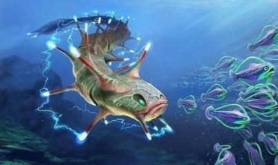 電鰻與其他電魚的電場差異
