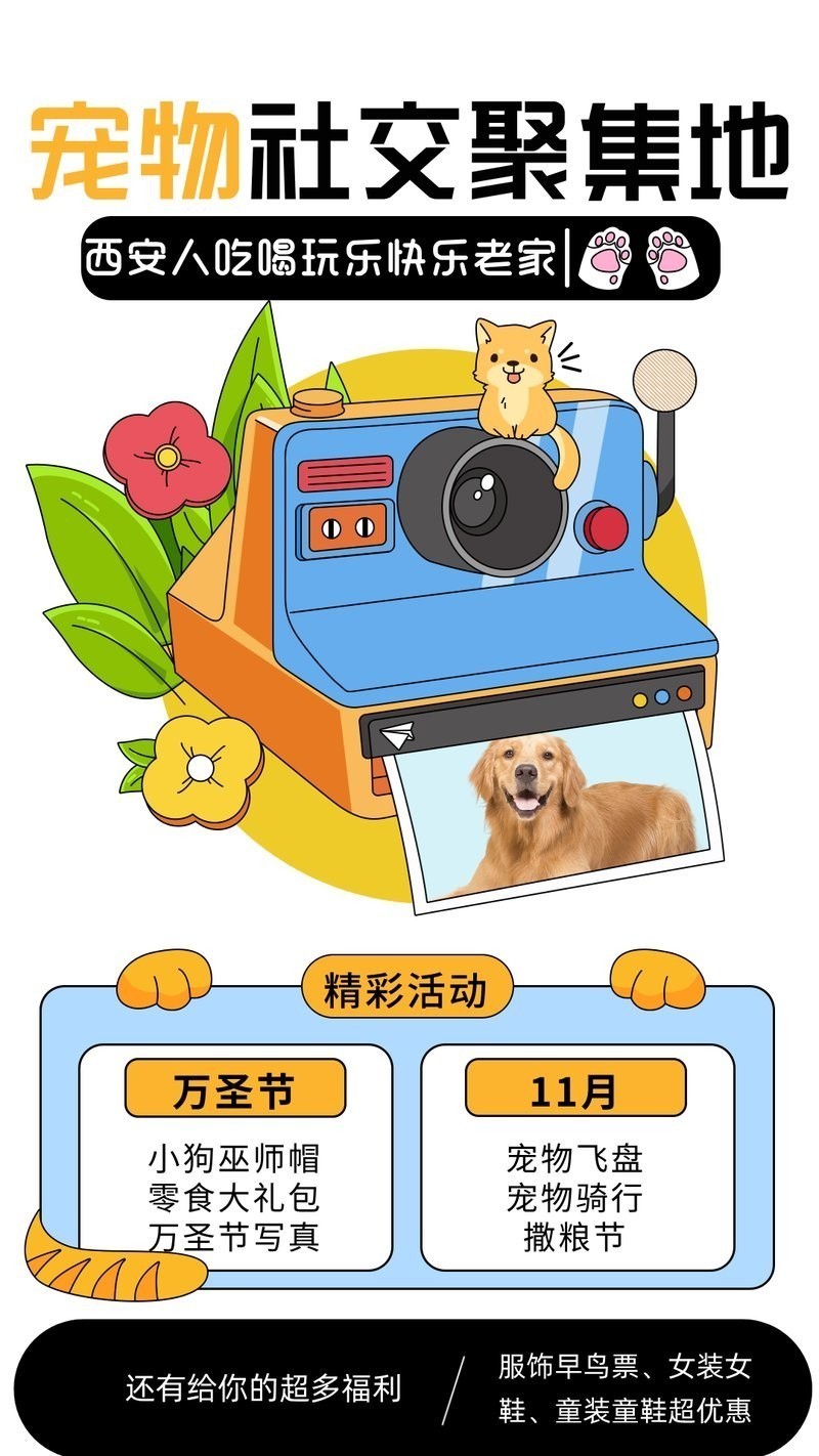寵物展上有哪些互動活動? 2025長城杯龍魚大賽 第3張 寵物展上有哪些互動活動? 寵物展上有哪些互動活動? 2025長城杯龍魚大賽 第3張