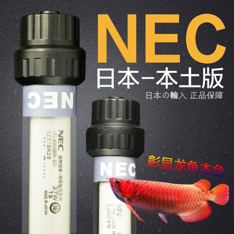 龍魚為什么要用三基色燈：三基色燈在龍魚飼養(yǎng)中的應(yīng)用