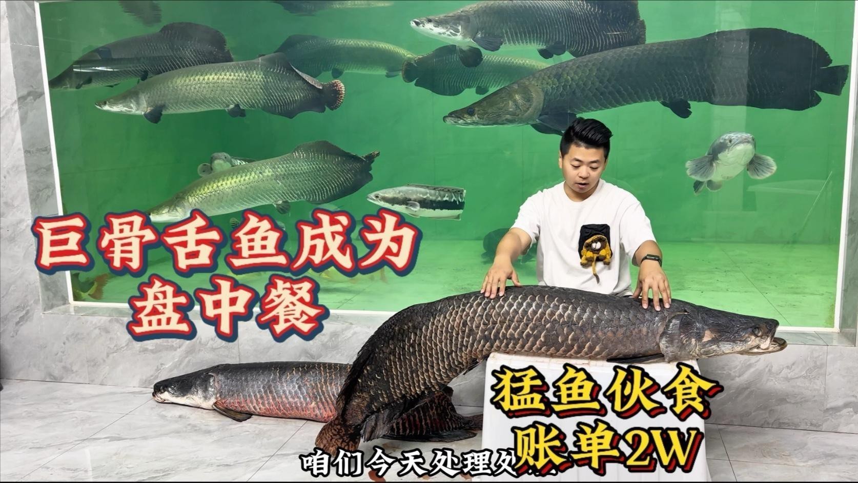 猛魚視頻愛養(yǎng)魚的龍龍