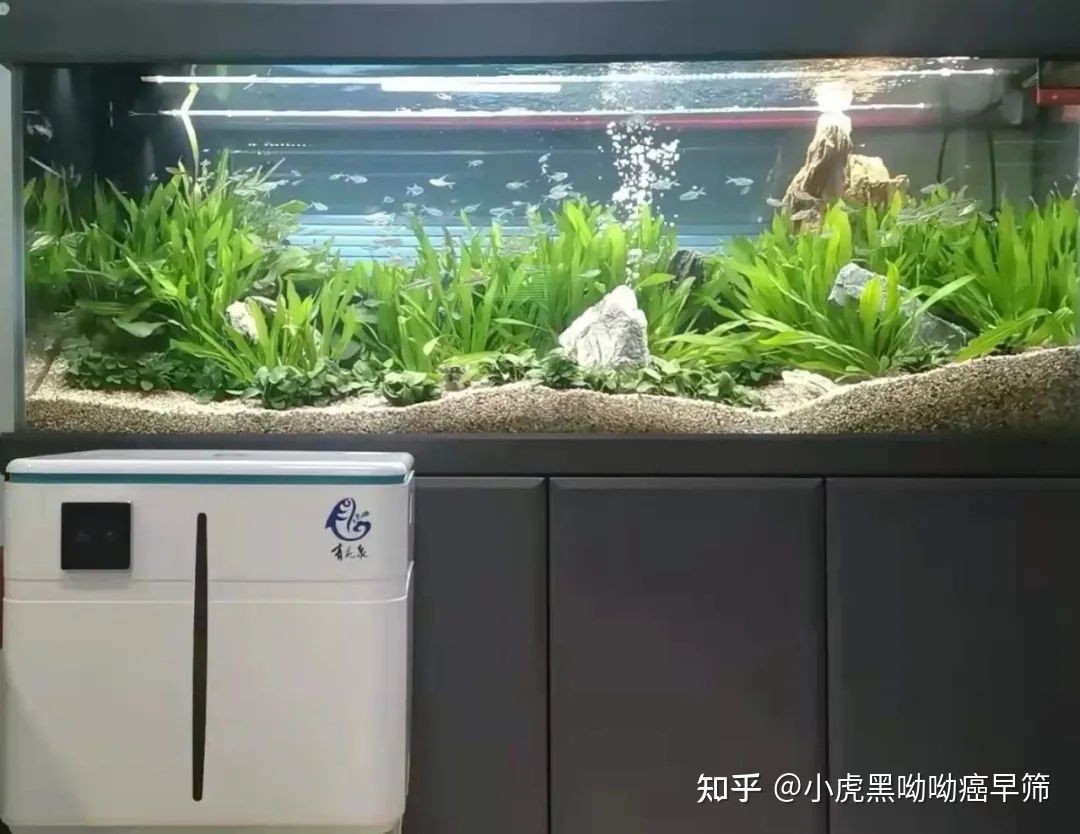 魚缸生態系統換水的處理方法包括以下幾個方面以下方面：養魚換水處理方法